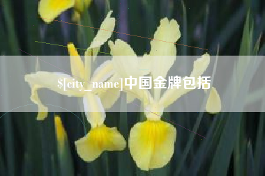 吕梁中国金牌包括