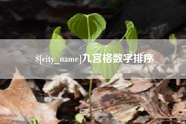 吕梁九宫格数字排序
