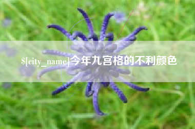 吕梁今年九宫格的不利颜色