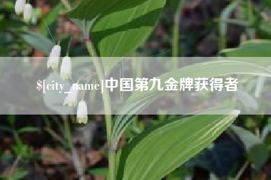 吕梁中国第九金牌获得者
