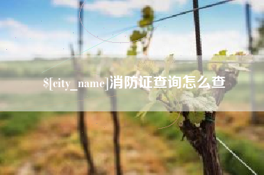 吕梁消防证查询怎么查