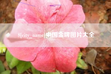 吕梁中国金牌图片大全