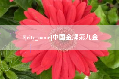 吕梁中国金牌第九金