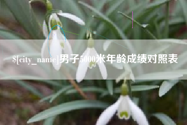 吕梁男子5000米年龄成绩对照表