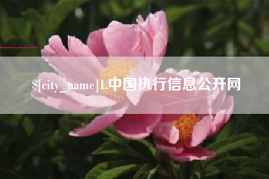 吕梁1.中国执行信息公开网