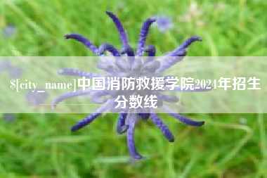 吕梁中国消防救援学院2024年招生分数线
