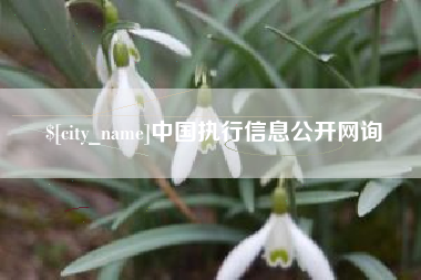 吕梁中国执行信息公开网询