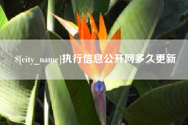 吕梁执行信息公开网多久更新