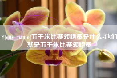 吕梁五千米比赛领跑员是什么-他们就是五千米比赛领跑员