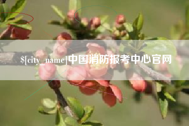 吕梁中国消防报考中心官网