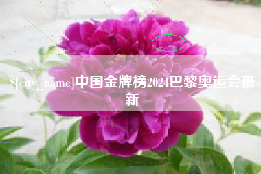 吕梁中国金牌榜2024巴黎奥运会最新