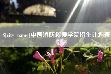 吕梁中国消防救援学院招生计划表