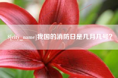 吕梁我国的消防日是几月几号？