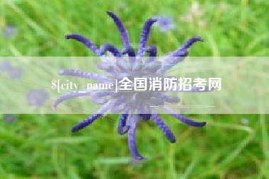 吕梁全国消防招考网
