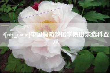 吕梁中国消防救援学院山东选科要求