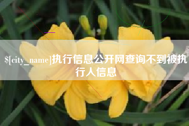 吕梁执行信息公开网查询不到被执行人信息