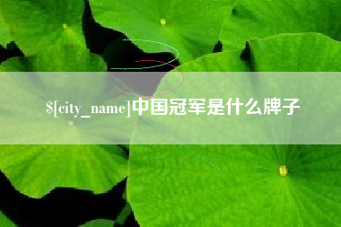 吕梁中国冠军是什么牌子