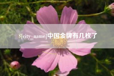 吕梁中国金牌有几枚了