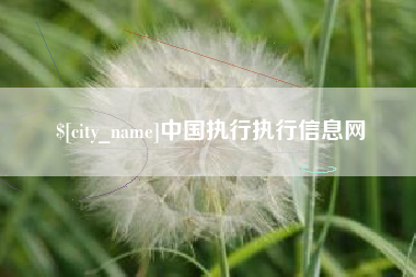 吕梁中国执行执行信息网
