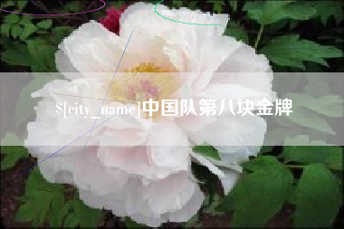 吕梁中国队第八块金牌