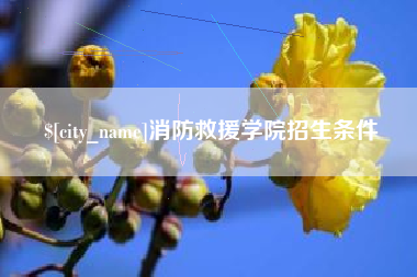 吕梁消防救援学院招生条件