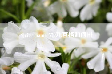吕梁579九宫格如何排