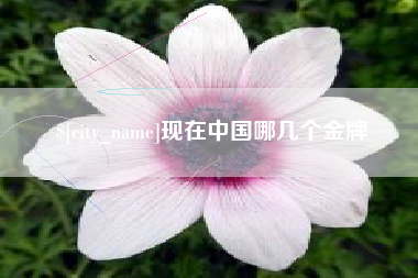 吕梁现在中国哪几个金牌
