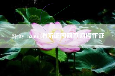 吕梁消防证国网查询操作证