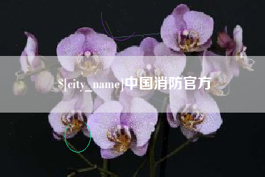 吕梁中国消防官方