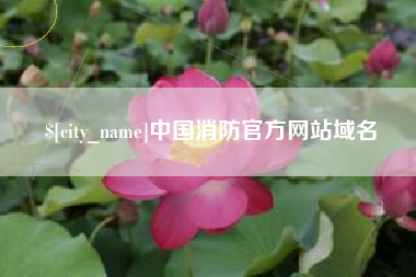 吕梁中国消防官方网站域名