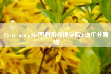 吕梁中国消防救援学院2020年分数线
