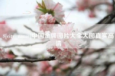 吕梁中国金牌图片大全大图真实高清