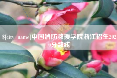 吕梁中国消防救援学院浙江招生2020分数线