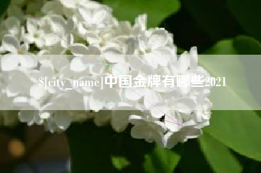 吕梁中国金牌有哪些2021