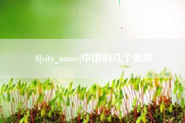 吕梁中国的几个金牌