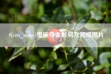 吕梁奥运夺金时刻九宫格图片