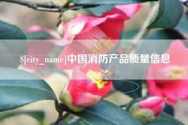 吕梁中国消防产品质量信息