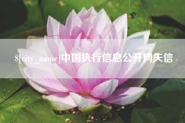 吕梁中国执行信息公开网失信
