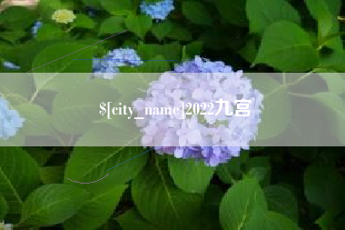 吕梁2022九宫