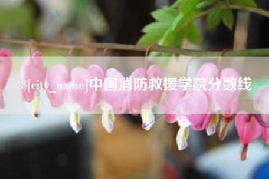 吕梁中国消防救援学院分数线