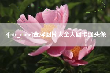 吕梁金牌图片大全大图卡通头像